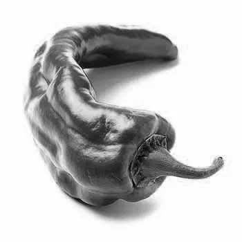 академічний рисунок